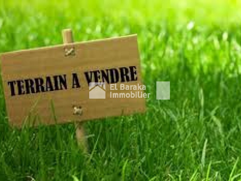 agence immobiliére tunisie